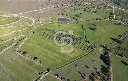 MENEMEN TELEKLERDE SATILIK 2 HİSSE 6.428 M² TARLA