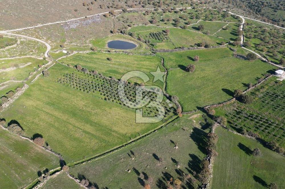 MENEMEN TELEKLERDE SATILIK 3.214 M² TARLA