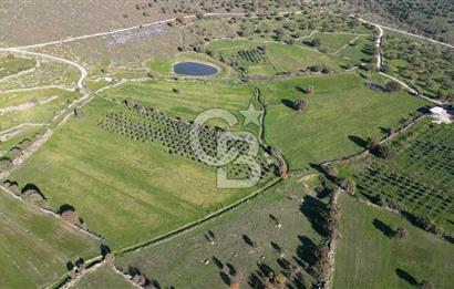 MENEMEN TELEKLERDE SATILIK 3.214 M² TARLA