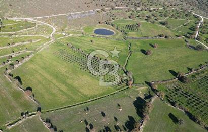 MENEMEN TELEKLERDE SATILIK 3.214 M² TARLA