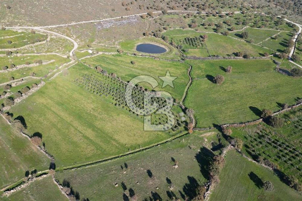 MENEMEN TELEKLERDE SATILIK 2 HİSSE 6.428 M² TARLA