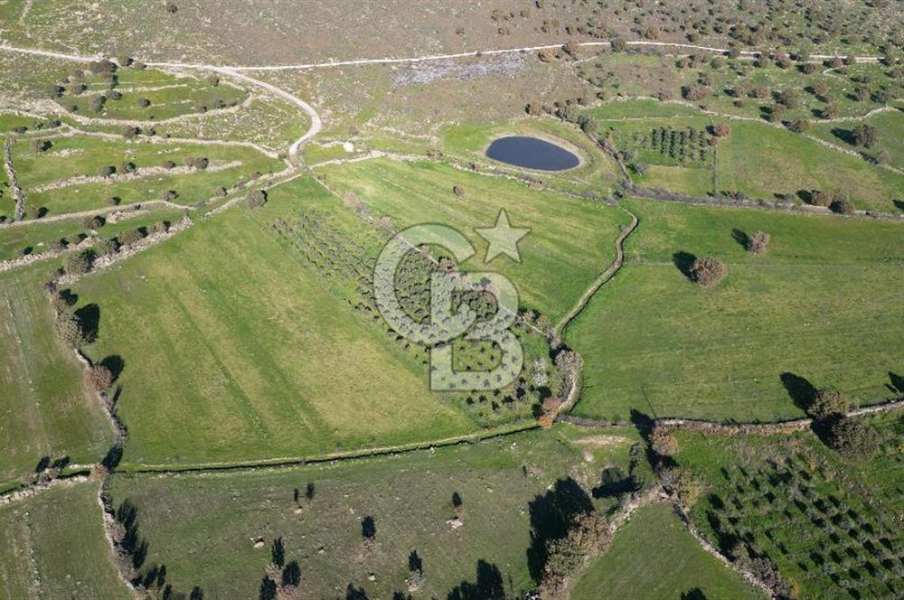 MENEMEN TELEKLERDE SATILIK 2 HİSSE 6.428 M² TARLA