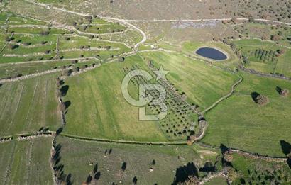 MENEMEN TELEKLERDE SATILIK 2 HİSSE 6.428 M² TARLA