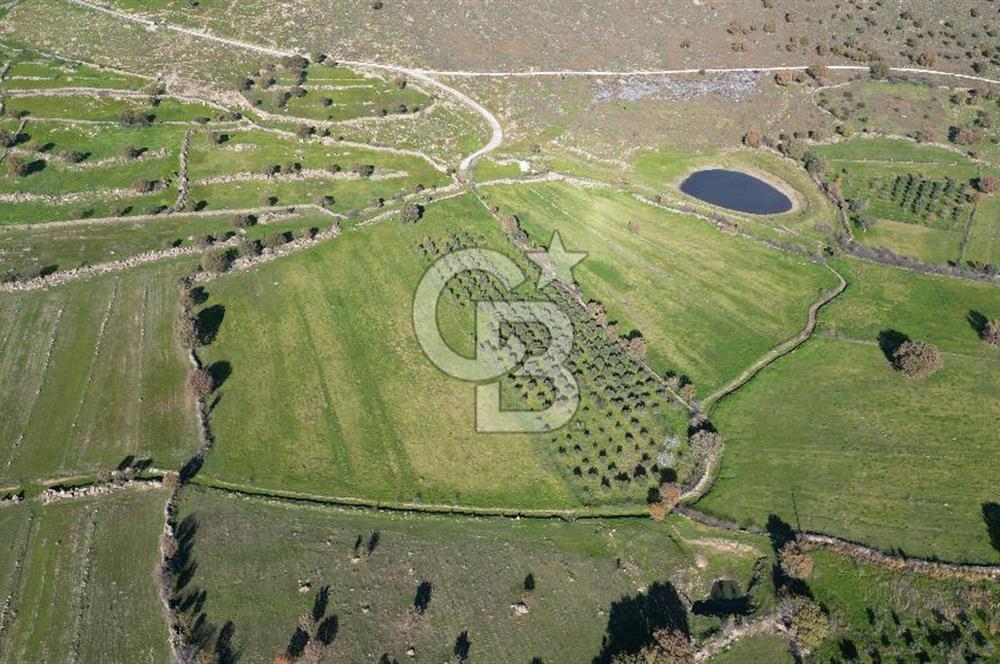 MENEMEN TELEKLERDE SATILIK 3.214 M² TARLA