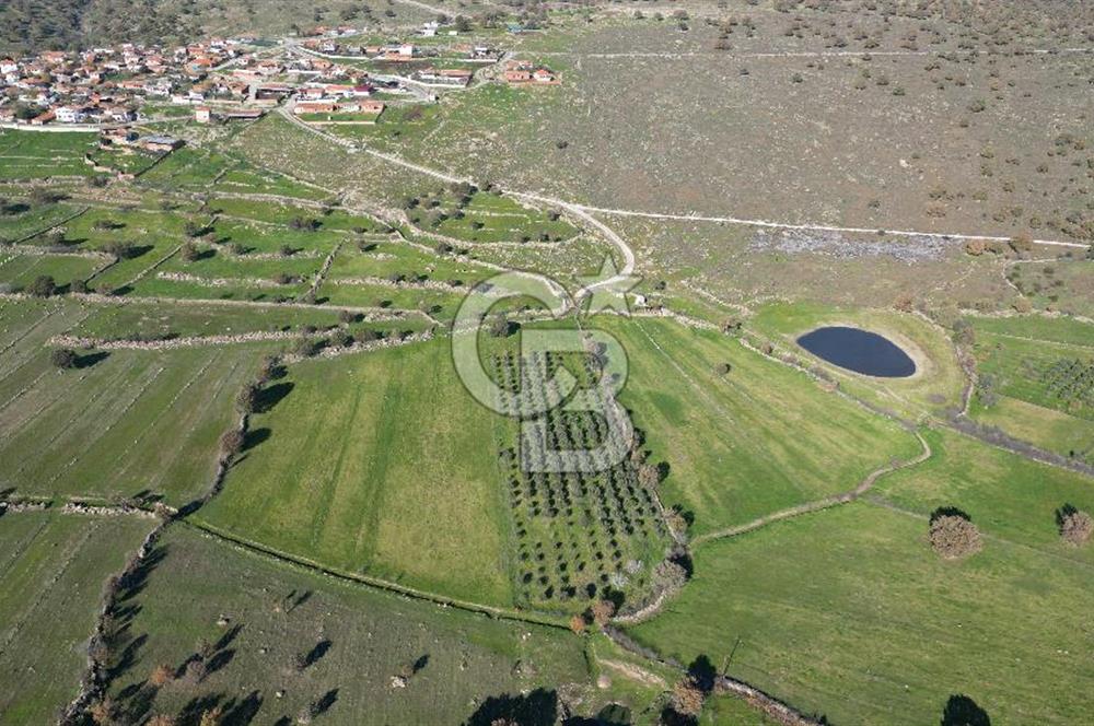 MENEMEN TELEKLERDE SATILIK 2 HİSSE 6.428 M² TARLA