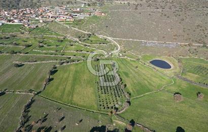 MENEMEN TELEKLERDE SATILIK 2 HİSSE 6.428 M² TARLA