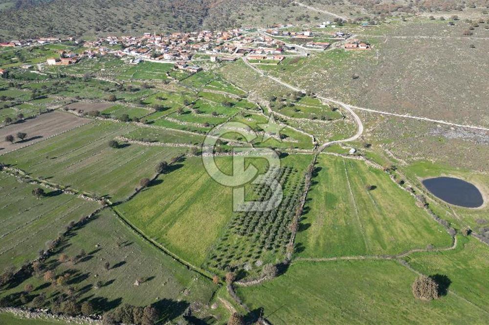 MENEMEN TELEKLERDE SATILIK 2 HİSSE 6.428 M² TARLA