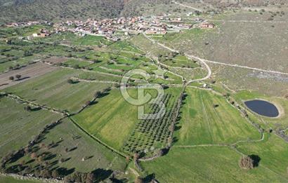 MENEMEN TELEKLERDE SATILIK 3.214 M² TARLA