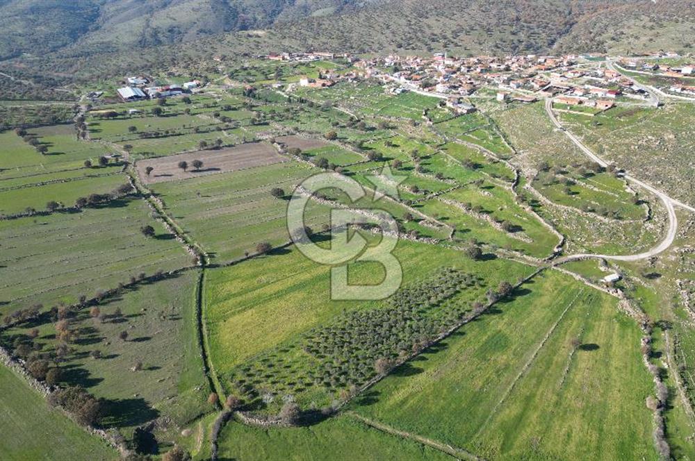 MENEMEN TELEKLERDE SATILIK 2 HİSSE 6.428 M² TARLA