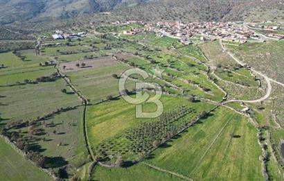 MENEMEN TELEKLERDE SATILIK 3.214 M² TARLA