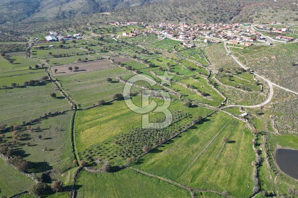 MENEMEN TELEKLERDE SATILIK 2 HİSSE 6.428 M² TARLA