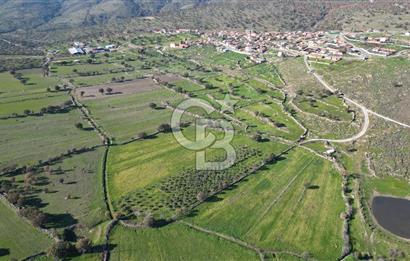 MENEMEN TELEKLERDE SATILIK 3.214 M² TARLA