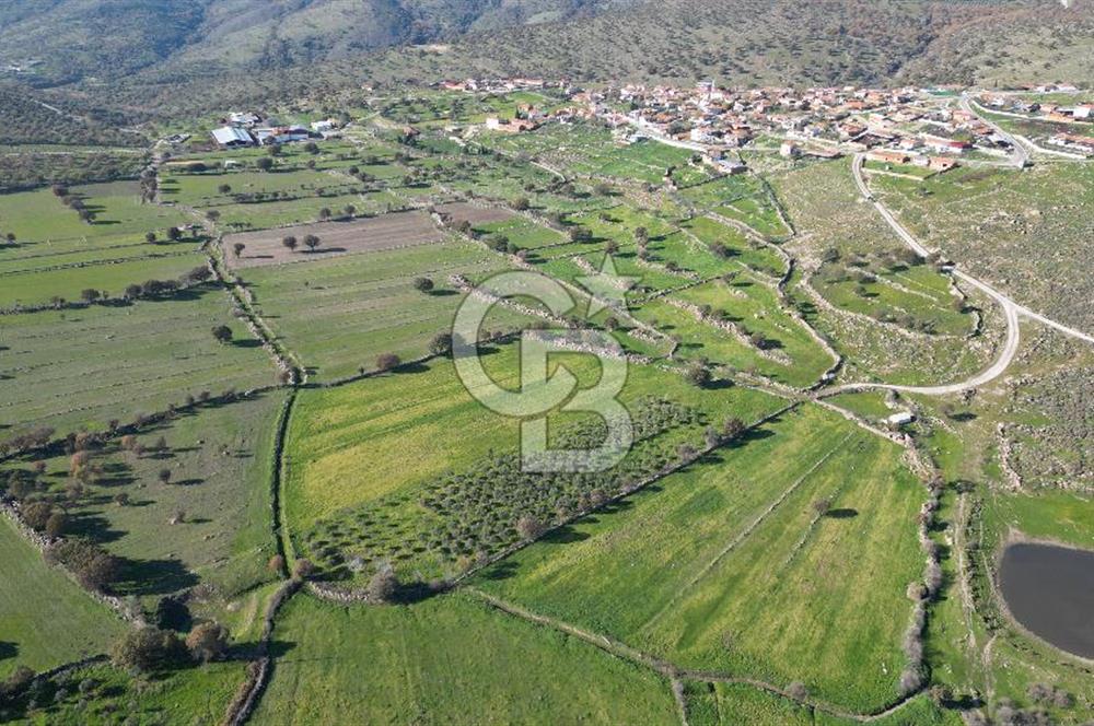 MENEMEN TELEKLERDE SATILIK 3.214 M² TARLA