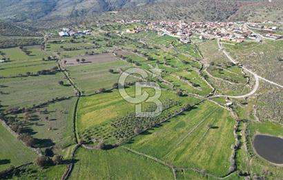 MENEMEN TELEKLERDE SATILIK 3.214 M² TARLA