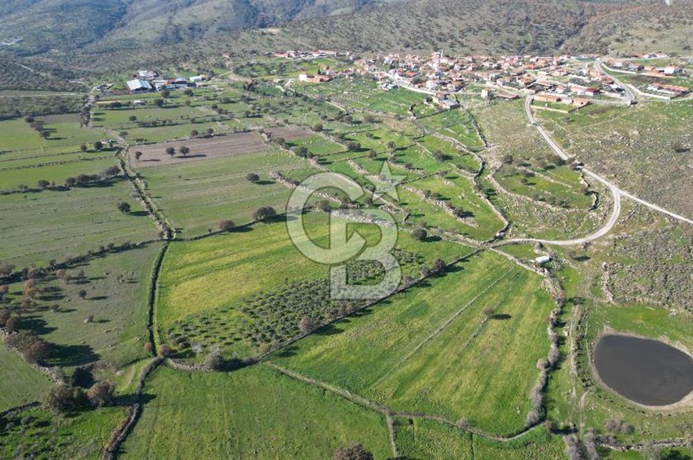 MENEMEN TELEKLERDE SATILIK 2 HİSSE 6.428 M² TARLA