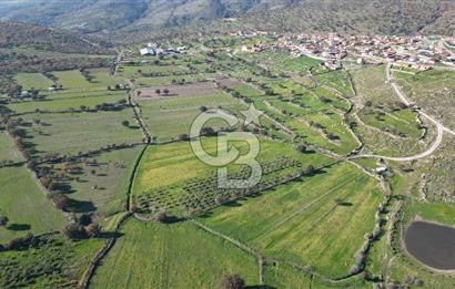 MENEMEN TELEKLERDE SATILIK 3.214 M² TARLA