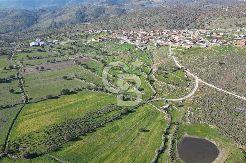 MENEMEN TELEKLERDE SATILIK 3.214 M² TARLA