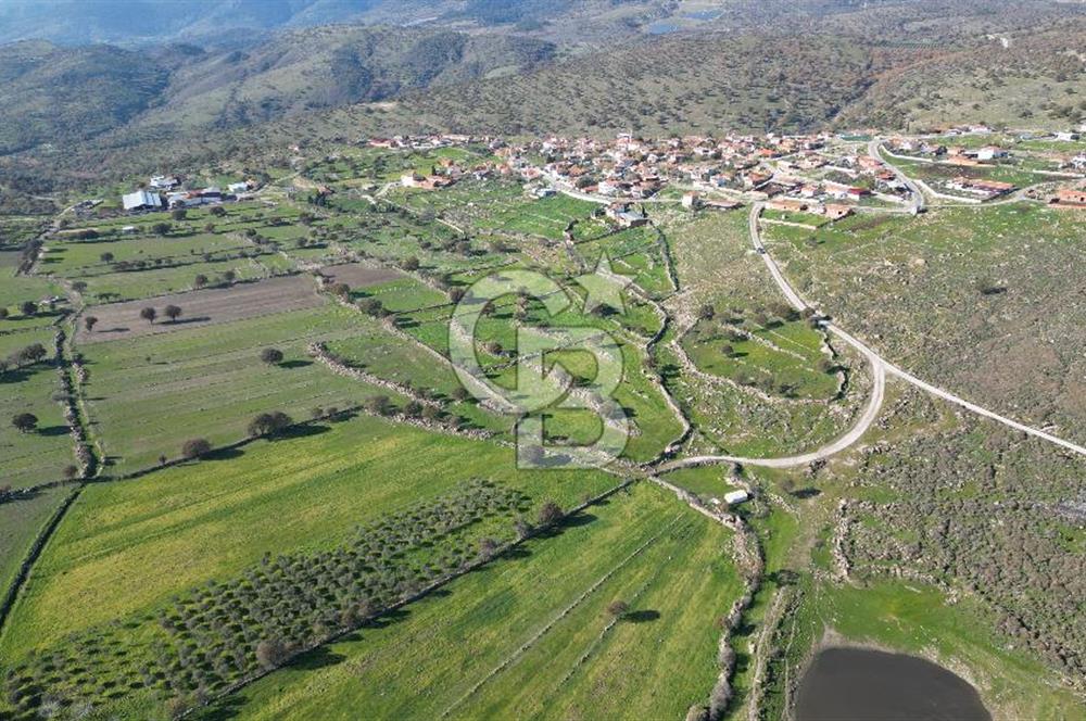 MENEMEN TELEKLERDE SATILIK 2 HİSSE 6.428 M² TARLA