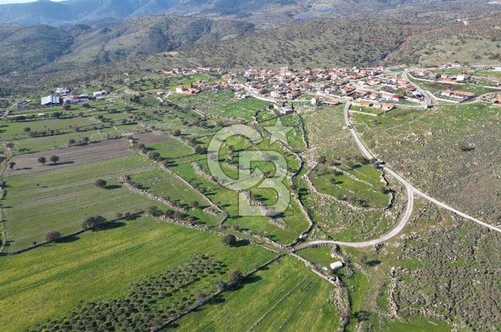 MENEMEN TELEKLERDE SATILIK 3.214 M² TARLA