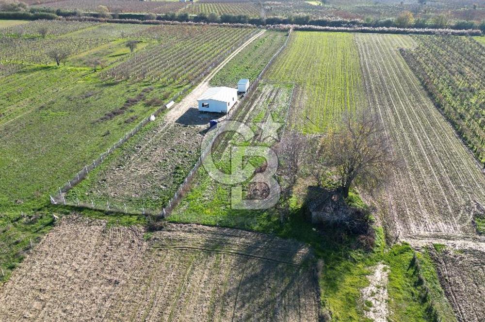 MANİSA YUNUSEMRE YAĞCILARDA 1.254 M² SATILIK TARLA