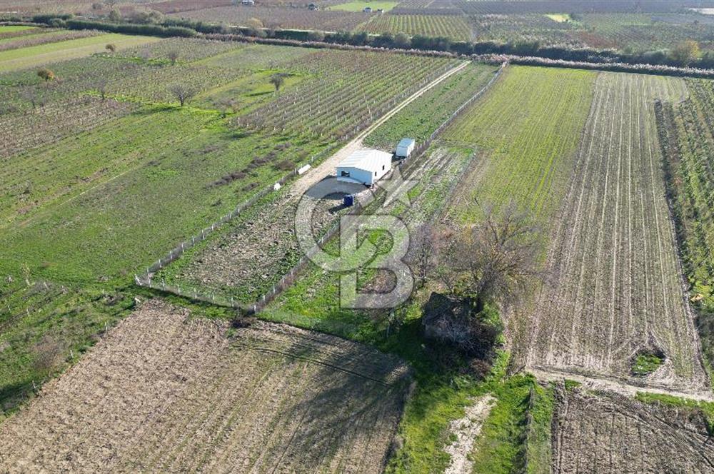 MANİSA YUNUSEMRE YAĞCILARDA 1.254 M² SATILIK TARLA