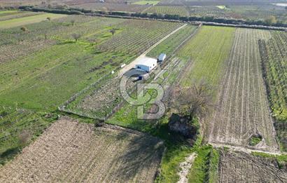 MANİSA YUNUSEMRE YAĞCILARDA 1.254 M² SATILIK TARLA