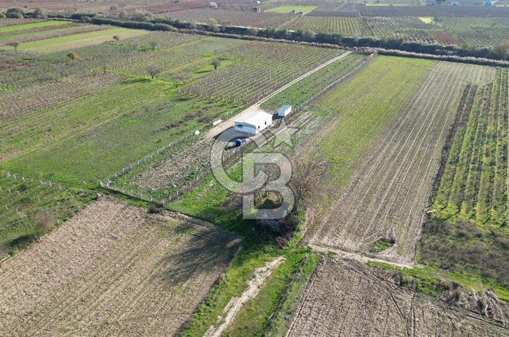 MANİSA YUNUSEMRE YAĞCILARDA 1.254 M² SATILIK TARLA