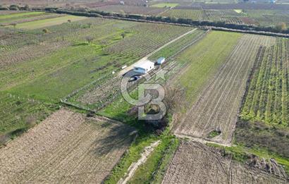 MANİSA YUNUSEMRE YAĞCILARDA 1.254 M² SATILIK TARLA