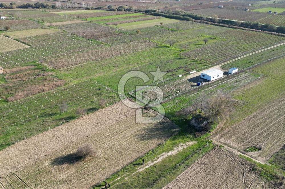 MANİSA YUNUSEMRE YAĞCILARDA 1.254 M² SATILIK TARLA