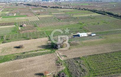 MANİSA YUNUSEMRE YAĞCILARDA 1.254 M² SATILIK TARLA