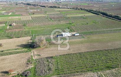 MANİSA YUNUSEMRE YAĞCILARDA 1.254 M² SATILIK TARLA