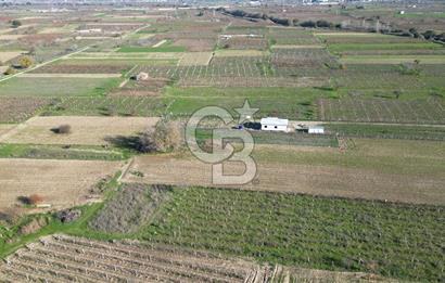 MANİSA YUNUSEMRE YAĞCILARDA 1.254 M² SATILIK TARLA