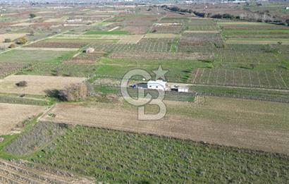 MANİSA YUNUSEMRE YAĞCILARDA 1.254 M² SATILIK TARLA