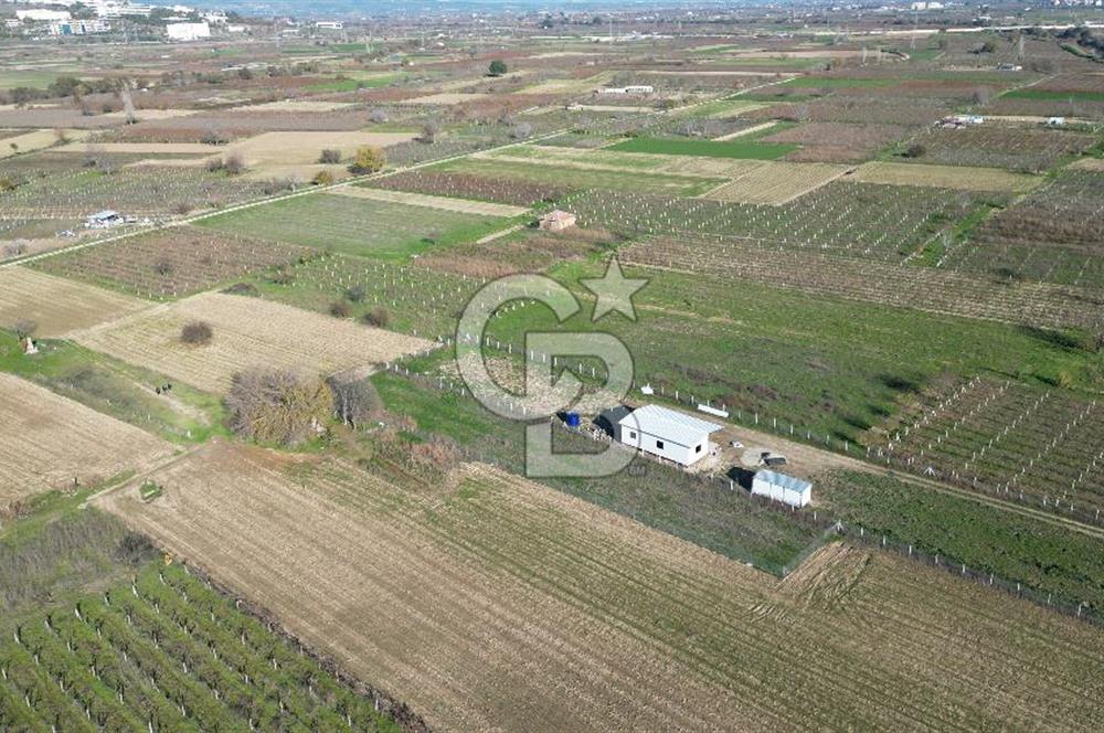 MANİSA YUNUSEMRE YAĞCILARDA 1.254 M² SATILIK TARLA