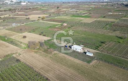 MANİSA YUNUSEMRE YAĞCILARDA 1.254 M² SATILIK TARLA