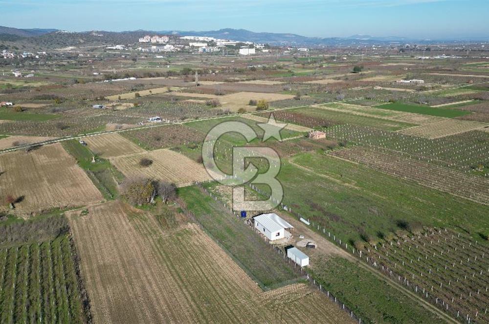 MANİSA YUNUSEMRE YAĞCILARDA 1.254 M² SATILIK TARLA