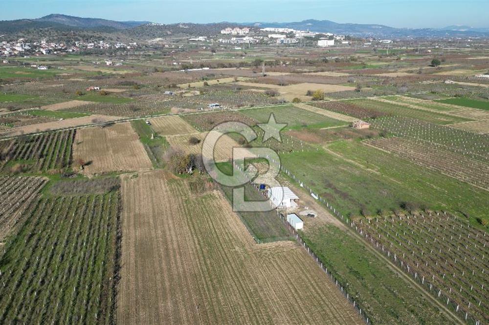 MANİSA YUNUSEMRE YAĞCILARDA 1.254 M² SATILIK TARLA