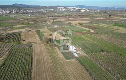 MANİSA YUNUSEMRE YAĞCILARDA 1.254 M² SATILIK TARLA