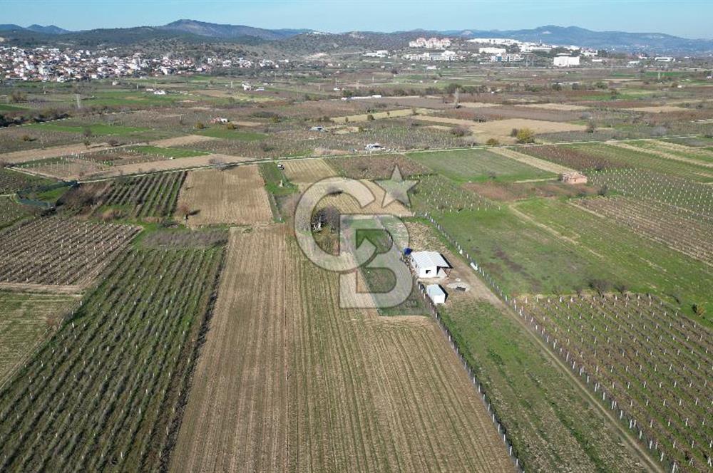 MANİSA YUNUSEMRE YAĞCILARDA 1.254 M² SATILIK TARLA