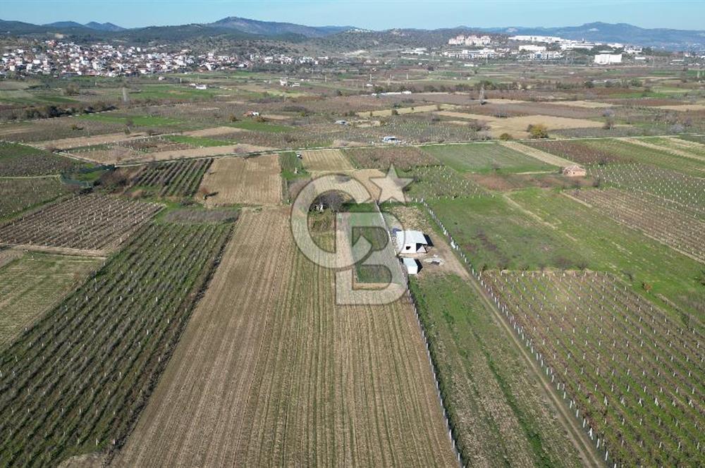 MANİSA YUNUSEMRE YAĞCILARDA 1.254 M² SATILIK TARLA