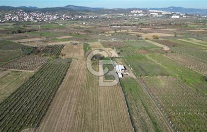 MANİSA YUNUSEMRE YAĞCILARDA 1.254 M² SATILIK TARLA