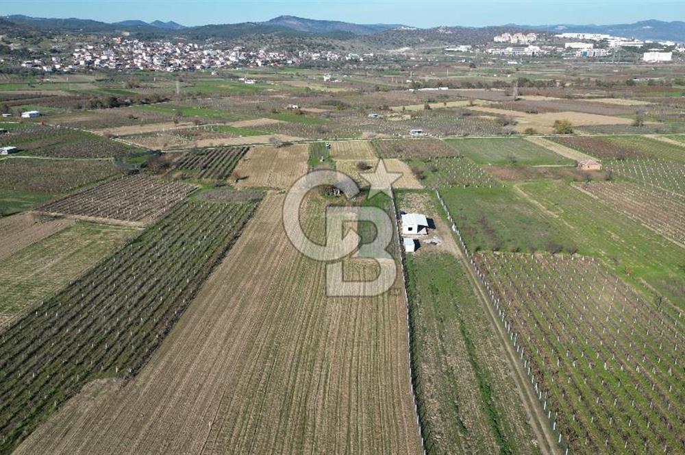 MANİSA YUNUSEMRE YAĞCILARDA 1.254 M² SATILIK TARLA