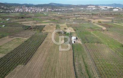 MANİSA YUNUSEMRE YAĞCILARDA 1.254 M² SATILIK TARLA