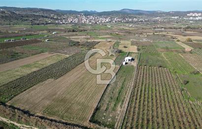 MANİSA YUNUSEMRE YAĞCILARDA 1.254 M² SATILIK TARLA