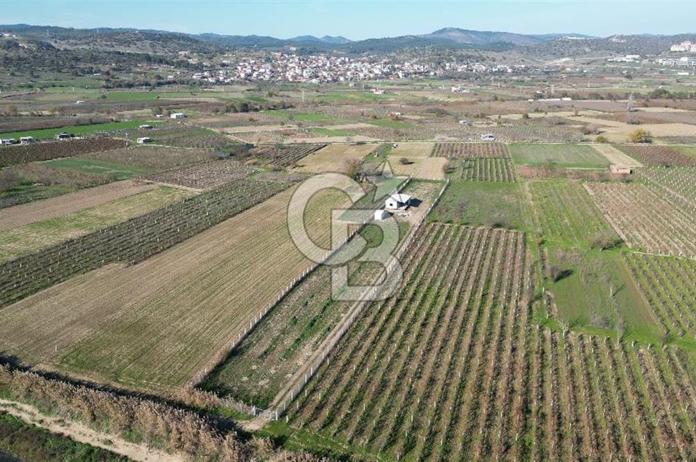 MANİSA YUNUSEMRE YAĞCILARDA 1.254 M² SATILIK TARLA