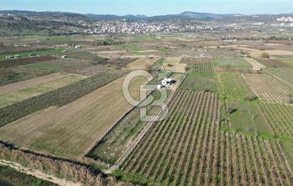 MANİSA YUNUSEMRE YAĞCILARDA 1.254 M² SATILIK TARLA