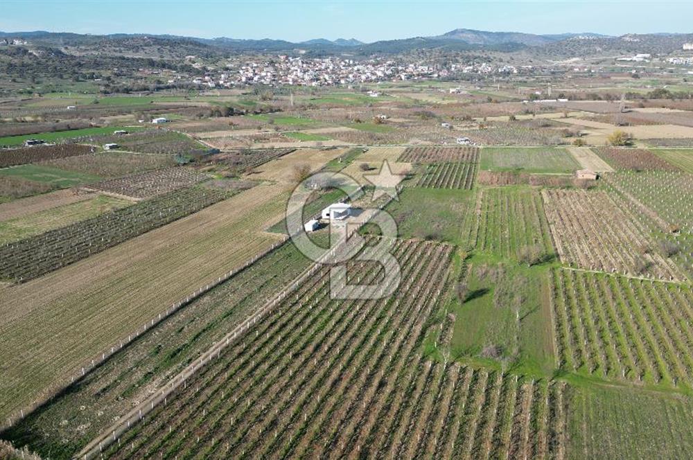 MANİSA YUNUSEMRE YAĞCILARDA 1.254 M² SATILIK TARLA