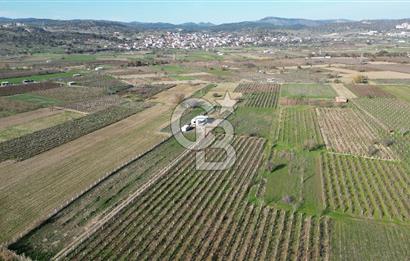 MANİSA YUNUSEMRE YAĞCILARDA 1.254 M² SATILIK TARLA