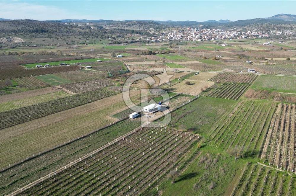 MANİSA YUNUSEMRE YAĞCILARDA 1.254 M² SATILIK TARLA