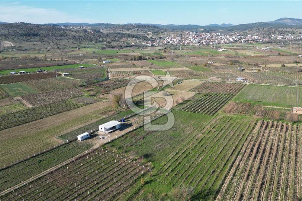 MANİSA YUNUSEMRE YAĞCILARDA 1.254 M² SATILIK TARLA